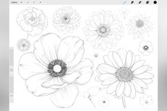 130 Procreate Flowers Stamp Brushes Product Image 5