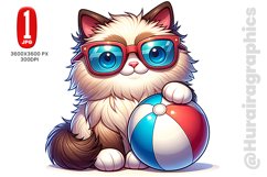 Ragdoll Play with Ball - JPG File Product Image 1