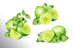 Lime citrus. Watercolor collection Product Image 7