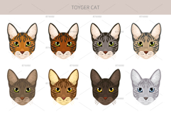 Toyger Cat clipart Product Image 5