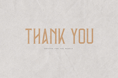 Errorist Textured Vintage Serif Display Font Product Image 6