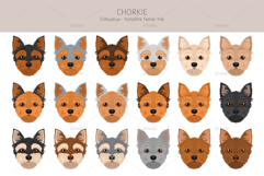 Chorkie, Chihuahua Yorkie mix Product Image 5