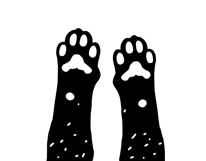 Cat svg, Funny Cats Vector Cut Files Product Image 12