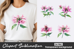Pink Wildflower Watercolor Clipart PNG Product Image 1