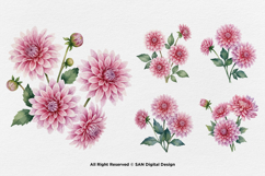 15 Bundle Watercolor Pink Dahlias Flower Soft Floral Decor Product Image 6