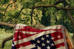 250th Anniversary Backgrounds Seamless Digital Paper Bundle Product Image 2