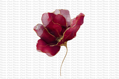 12 Burgundy Red and Gold Flowers PNG Product Image 10