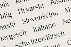 Typhera Elegant Serif Font Product Image 6