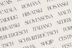 Evalinor A Modern Serif Font Product Image 6