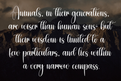 Childles Product Image 6