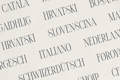 Elantrae Elegant Modern Serif Font Product Image 6