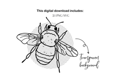 Insects SVG PNG Bundle, Bug Clipart, Garden Insects Line Art Product Image 4