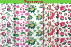 Philippine Native Flowers watercolor Product Image 5