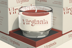 Vanelo - Luxury Serif font Product Image 6