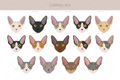 Cornish Rex clipart Product Image 5