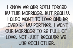 Groovy Reindeer Product Image 6