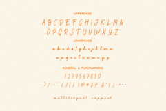 Reposida Brush Font Product Image 6