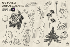 Forest Life Procreate stamp brushes Product Image 6