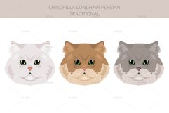 Chinchilla Persian Longhair Traditional clipart Product Image 5