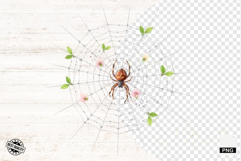 Spider Webs Clipart Product Image 1