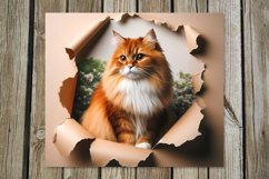Cats &amp; wall | skinny tumbler Sublimation design bundle Product Image 6
