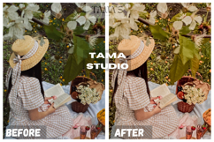 10 Daylight Preset Lightroom and LUTs Video Filter Product Image 6
