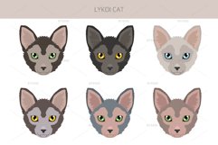 Lykoi cat clipart Product Image 5
