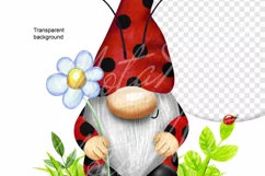gnome ladybugs, Ladybug family genomes png clipart Product Image 4