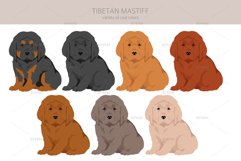 Tibetan Mastiff clipart Product Image 2