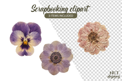 Pressed Flowers Clipart Peony Pansy anemone Scrapbooking Product Image 1