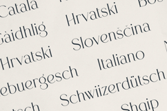 Monexa A Modern Serif Font Product Image 6