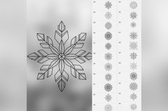 100 Procreate Snowflake Stamp Brushes Product Image 7