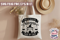 Halloween Sarcasm Witch Bundle 30 Designs SVG PNG Funny Product Image 13