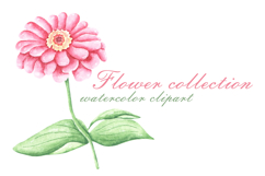 Blooming flowers watercolor clipart. Wildflowers Product Image 6