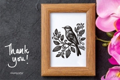 Bird Silhouette Vector Collection Product Image 6