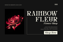 Inword - UNique Display Serif Font Product Image 6