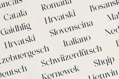 OZAAN A Sophisticated Modern Serif Product Image 6