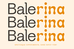 Magseva - Grotesque Experimental Font Product Image 6