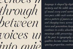 Aviel Elegant Expressive Serif Font Product Image 6