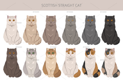 Scottish Straight Cat clipart Product Image 4