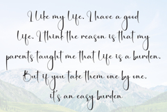 Montana Product Image 6