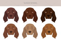 Sussex Spaniel clipart Product Image 6