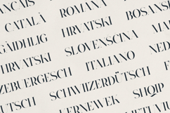 Typorama Elegant Serif Font Product Image 6