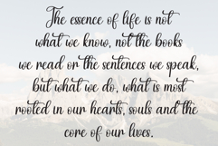 Volleyball Product Image 6