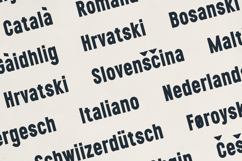 Nexline Bold Sans Serif Font Product Image 6