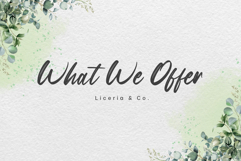 Snowberry Brush Product Image 6