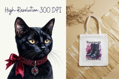 Gothic Romantasy Clipart Bundle BookTok Smut Dark Romance Product Image 6