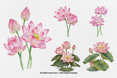 15 Bundle Watercolor Lotus Flower Meditation Elegant Floral Product Image 6