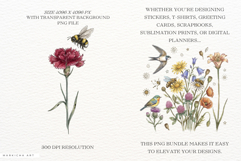 1920 Botanical Summer Wildflowers Clipart Product Image 2