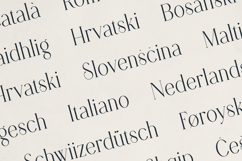 Opaline Elegant Modern Serif Font Product Image 6